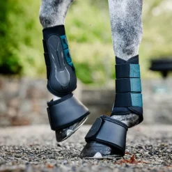 Guêtres Ouvertes*Horseware - Guêtres oues Classic dynasty green Vert