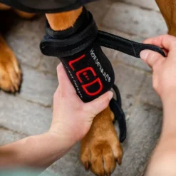 Discount - Guêtres thérapeutiques pour chien Lumière rouge LED Accessoires De Massages