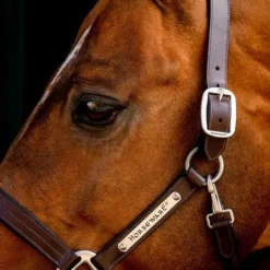 Licols Poneys*Horseware - Licol en cuir Signature Marron