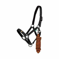 Licols Poneys|Ensembles Licols Et Longes*Horseware - Licol et longe Newmarket witney gold Jaune