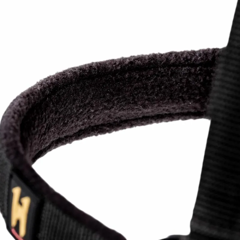 Licols Poneys|Ensembles Licols Et Longes*Horseware - Licol et longe Newmarket witney gold Jaune