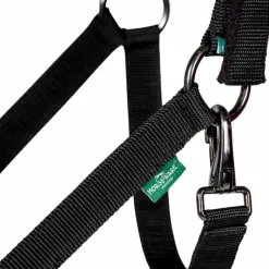 Licols Poneys|Ensembles Licols Et Longes*Horseware - Licol et longe Newmarket witney gold Jaune