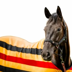 Licols Poneys|Ensembles Licols Et Longes*Horseware - Licol et longe Newmarket witney gold Jaune