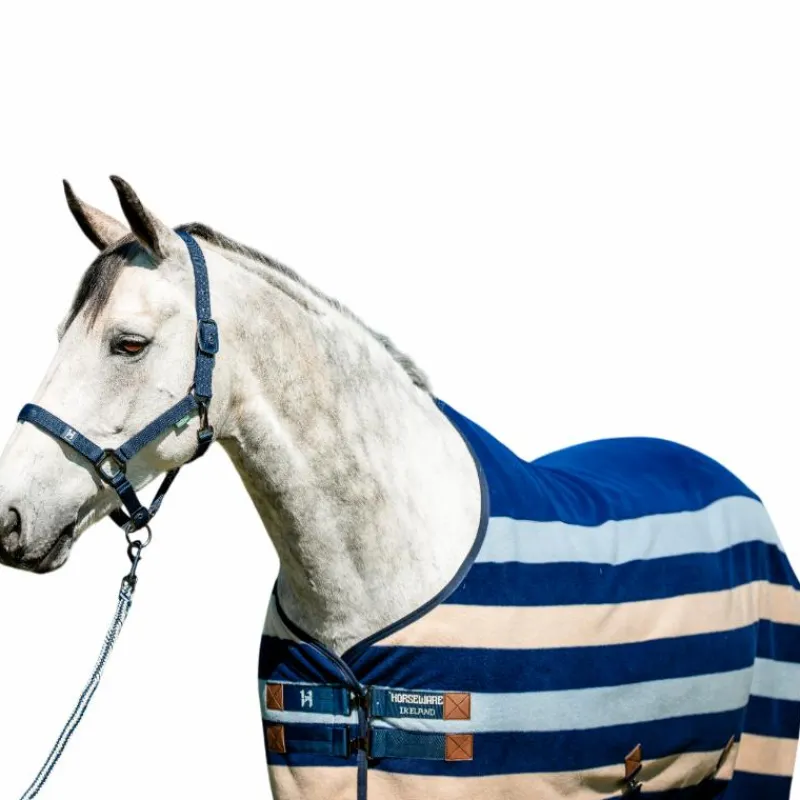 New - Licol et longe Newmarket witney navy Licols Poneys|Ensembles Licols Et Longes