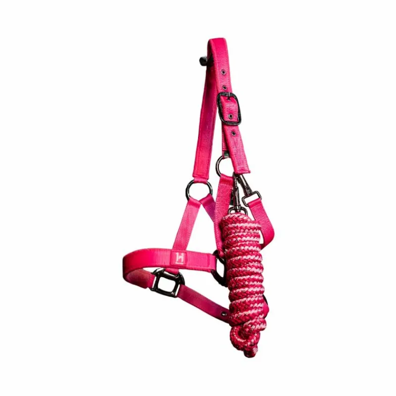 Licols Poneys|Ensembles Licols Et Longes*Horseware - Licol et longe Newmarket witney pink Rose