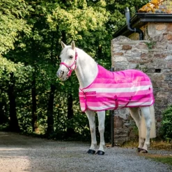 Licols Poneys|Ensembles Licols Et Longes*Horseware - Licol et longe Newmarket witney pink Rose
