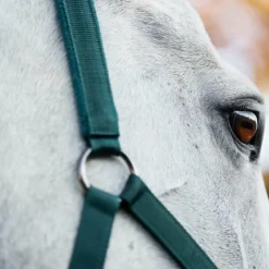 Ensembles Licols Et Longes*Horseware - Licol et longe dynasty green Vert