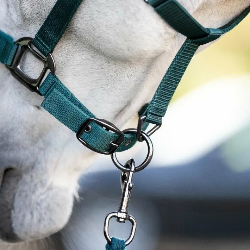 Ensembles Licols Et Longes*Horseware - Licol et longe dynasty green Vert