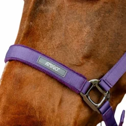 Licols Poneys|Ensembles Licols Et Longes*Horseware - Licol et longe Amigo winterberry Violet