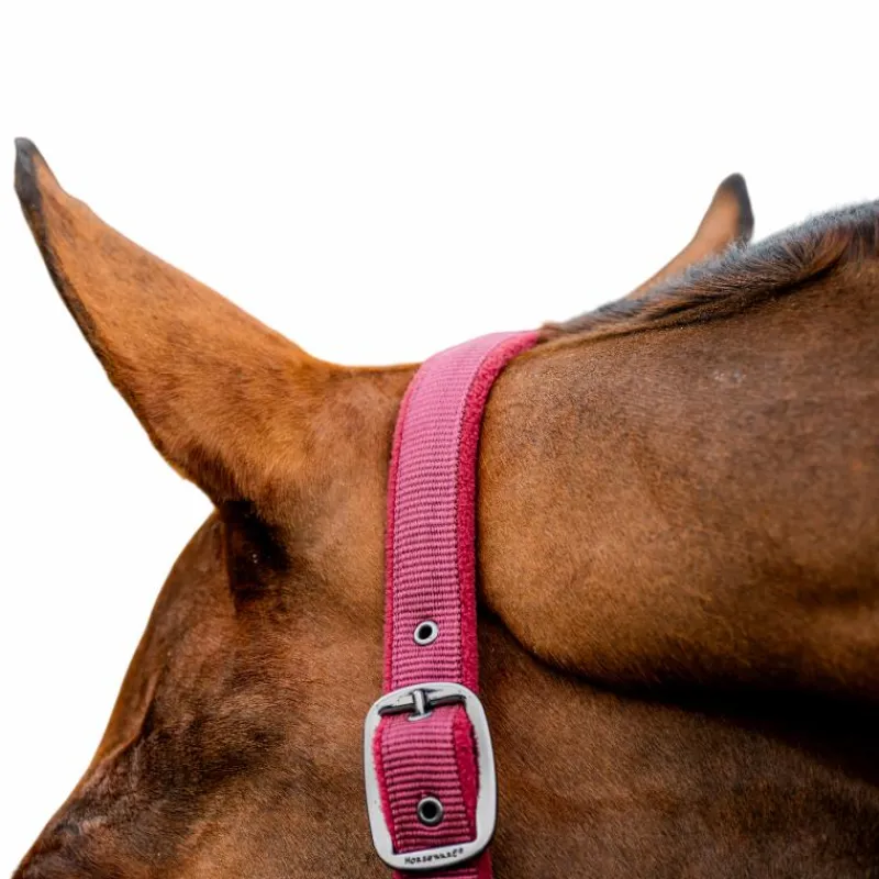 Licols Poneys|Ensembles Licols Et Longes*Horseware - Licol et longe Amigo mulberry Rouge