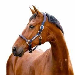 Clearance - Licol pour chevaux Signature Competition marine/ marron Licols Poneys