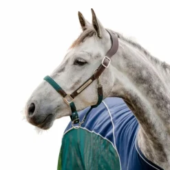 Online - Licol pour chevaux Signature Tressé marron/ marine/ hunter green Licols Poneys