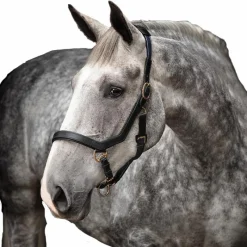 Licols Poneys*Horseware - Licol pour chevaux en cuir Rambo Micklem Noir