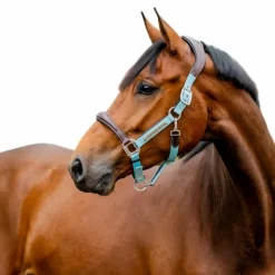 Licols Poneys*Horseware - Licol pour chevaux Signature Competition / blue haze Marron