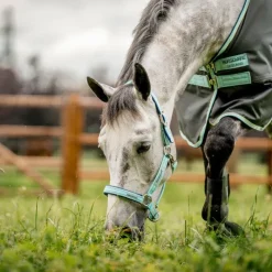 Online - Licol spécial pâturage Field Safe blue haze Licols Poneys