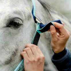 Online - Licol spécial pâturage Field Safe blue haze Licols Poneys