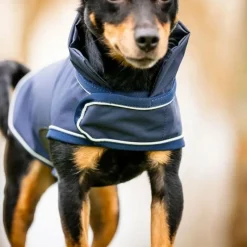 Clearance - Manteau imperméable pour chiens Signature 0g Manteaux