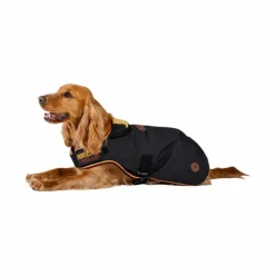Hot - Manteau pour chien Newmarket witney gold Manteaux