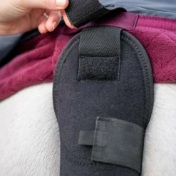 - Protège-queue Tail Guard Protège-Queue