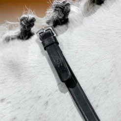 Rênes Et Arrêtoirs De Rênes*Horseware - Rênes Curb Noir