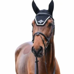 Bonnets Pour Chevaux*Jump'In - Bonnet chevaux Écusson lurex et champagne Noir