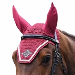 Bonnets Pour Chevaux*Jump'In - Bonnet chevaux Écusson et champagne Bordeaux