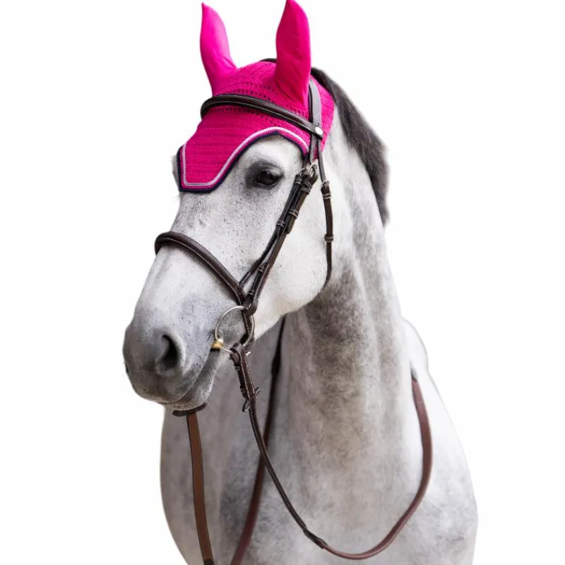 Online - Bonnet pour chevaux Balthazar fuschia/ marine Bonnets Pour Chevaux
