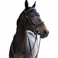 Best - Bonnet pour chevaux Balthazar / diamant Bonnets Pour Chevaux