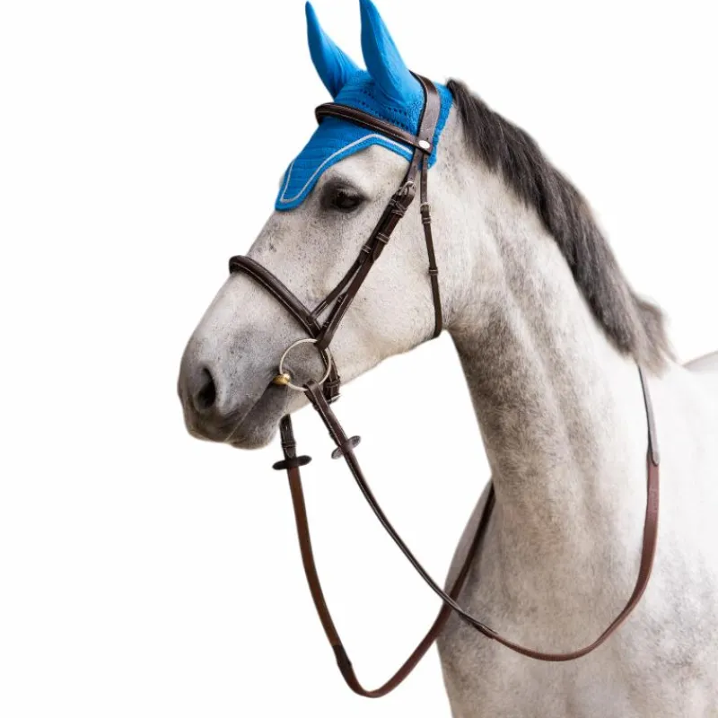 Discount - Bonnet pour chevaux Balthazar royal/ lurex Bonnets Pour Chevaux