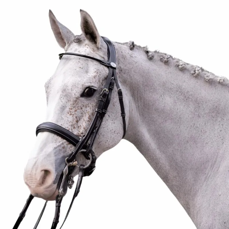 Hunter|Brides*Jump'In - Bride vernie avec rênes