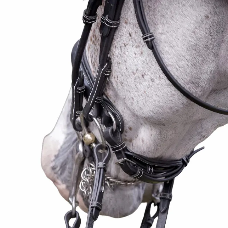 Hunter|Brides*Jump'In - Bride vernie avec rênes