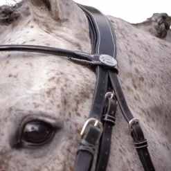 Hunter|Brides*Jump'In - Bride vernie avec rênes