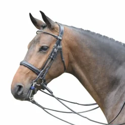 Hunter|Brides*Jump'In - Bride vernie avec rênes