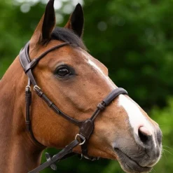 Online - Bridon bitless Evolution havane Bridons