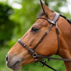 Online - Bridon bitless Evolution havane Bridons