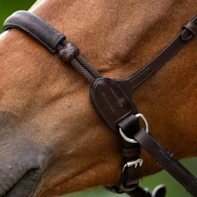 Online - Bridon bitless Evolution havane Bridons