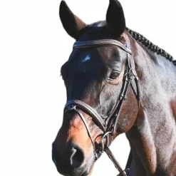 Bridons*Jump'In - Bridon Carat collection One premium Havane