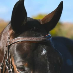 Bridons*Jump'In - Bridon Carat collection One premium Havane