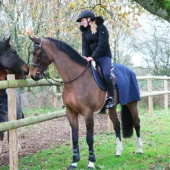 Bridons*Jump'In - Bridon Carat collection One premium / bleu Havane