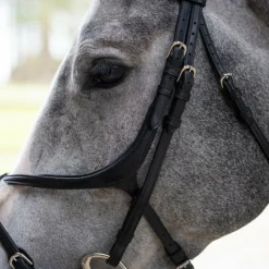 Bridons*Jump'In - Bridon muserolle croisée Evolution Noir