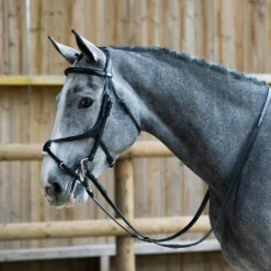 Bridons*Jump'In - Bridon muserolle croisée Evolution Noir