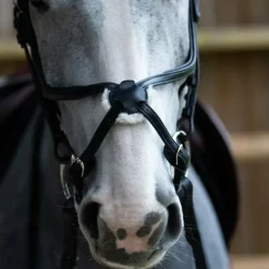 Bridons*Jump'In - Bridon muserolle croisée Evolution Noir