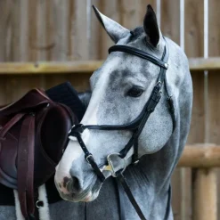 Bridons*Jump'In - Bridon muserolle croisée Evolution Noir