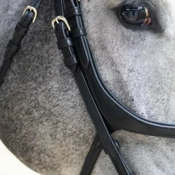 Bridons*Jump'In - Bridon muserolle croisée Evolution Noir