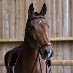 Bridons*Jump'In - Bridon muserolle allemande Evolution noisette Marron