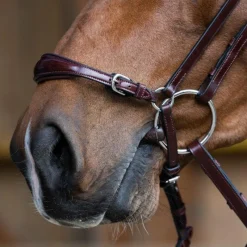 Bridons*Jump'In - Bridon muserolle allemande Evolution noisette Marron