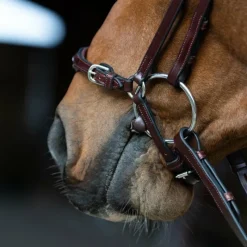 Bridons*Jump'In - Bridon muserolle allemande Evolution noisette Marron