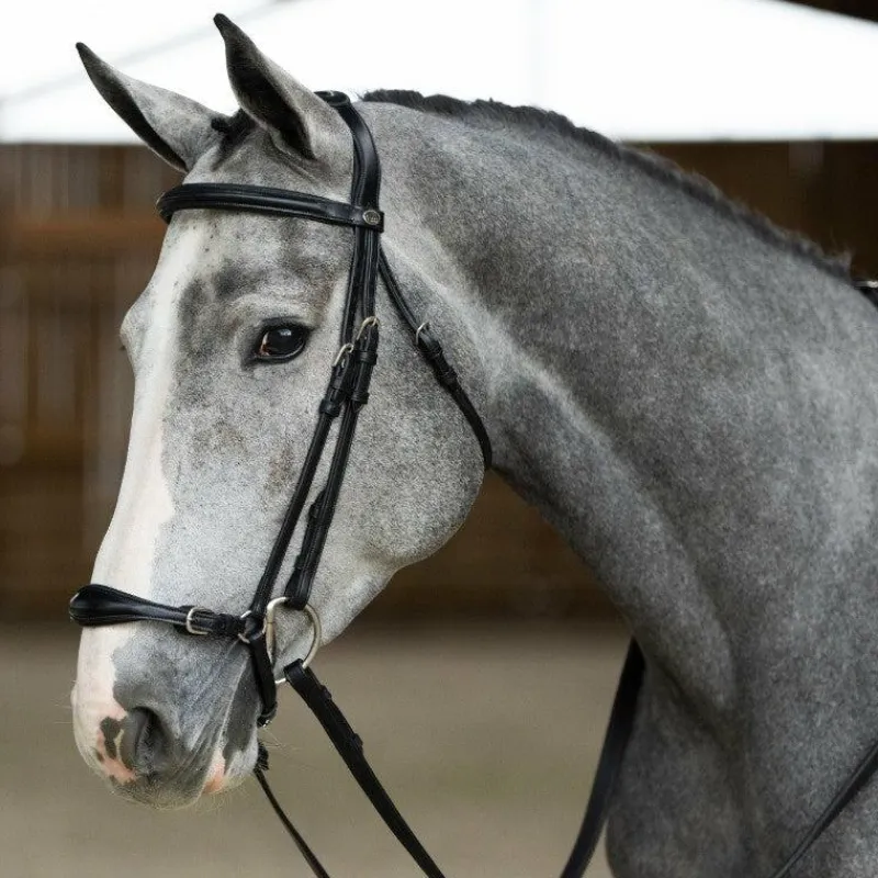 Bridons*Jump'In - Bridon muserolle allemande Evolution noisette Marron