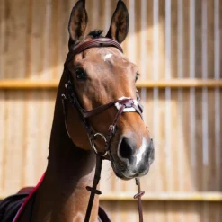 Bridons*Jump'In - Bridon muserolle croisée Evolution noisette Marron