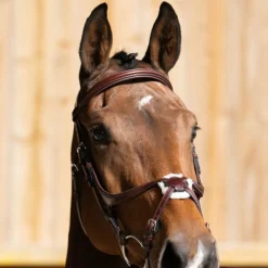 Bridons*Jump'In - Bridon muserolle croisée Evolution noisette Marron